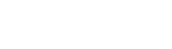 LOGO BLINDEX HORIZONTAL BLANCO